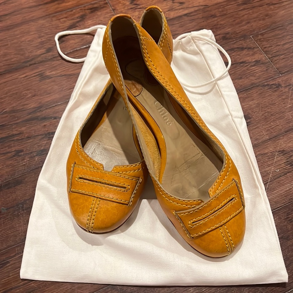 Chloe Ballet Flat Shoe